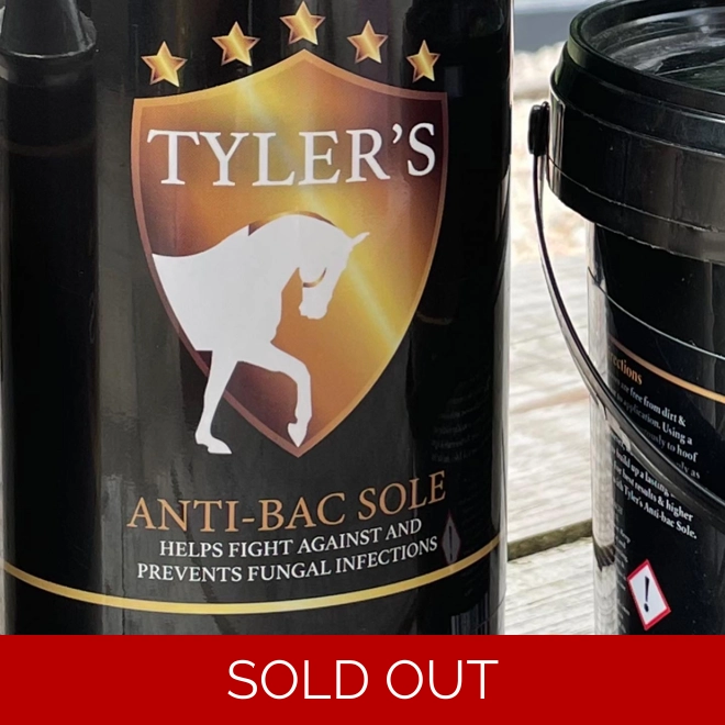 product Image for Anti bac sole spray